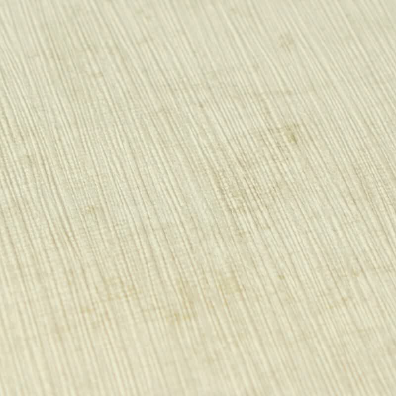 Vliestapete Grün-Grau in Betonoptik / Shabby-Chic Look AS Creation (791524)