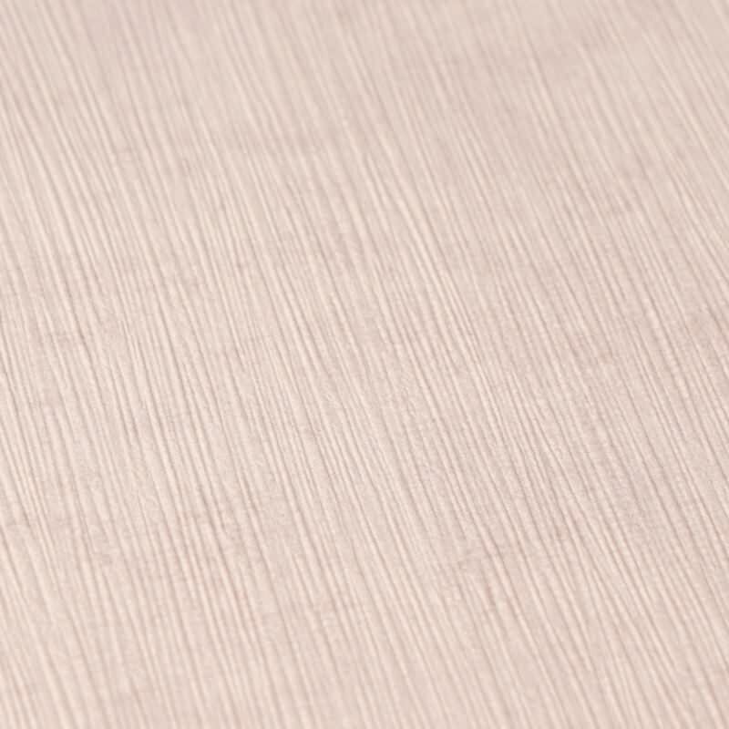 Vliestapete Rosa Betonoptik Shabby Chic – AS Creation (791526)