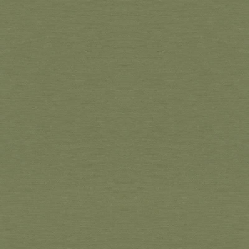 Tapete Grün Rasch Vliestapete (687538)