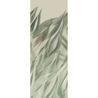 367775 Incanto Rasch