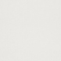 899023 Deco Style Rasch