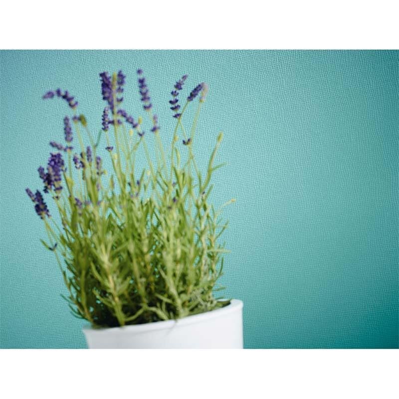 Tapete Weiß Überstreichbar AS-Creation (247612)