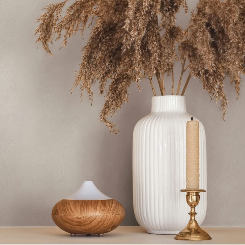 36424 Whisper Marburg