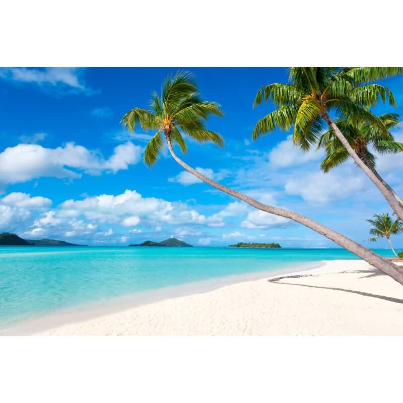 DD129575 WALL LOVE AS-Creation