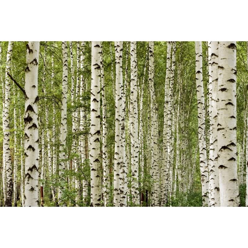 DD129576 WALL LOVE AS-Creation