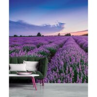 DD129578 WALL LOVE AS-Creation