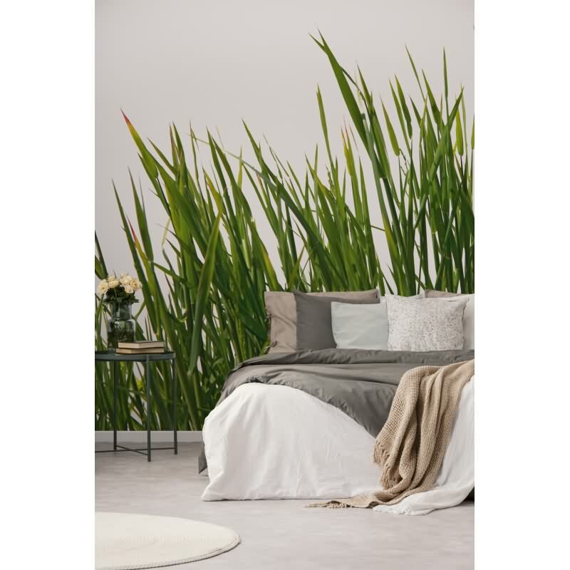 DD129580 WALL LOVE AS-Creation