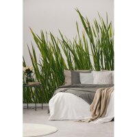 DD129580 WALL LOVE AS-Creation