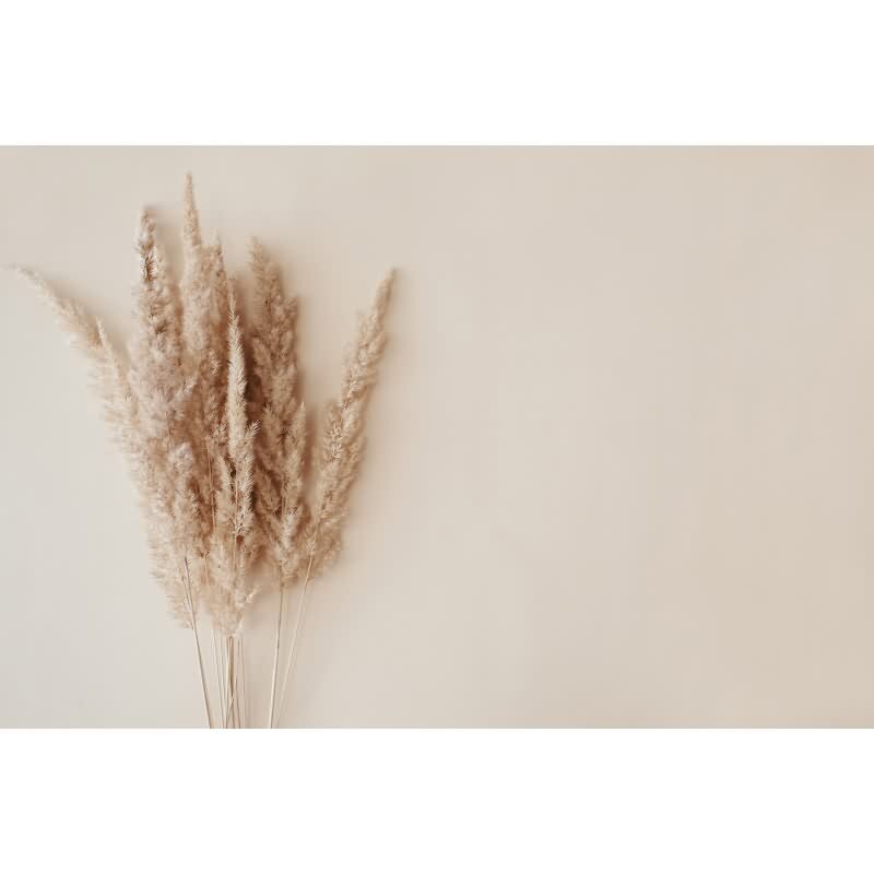 DD129603 WALL LOVE AS-Creation