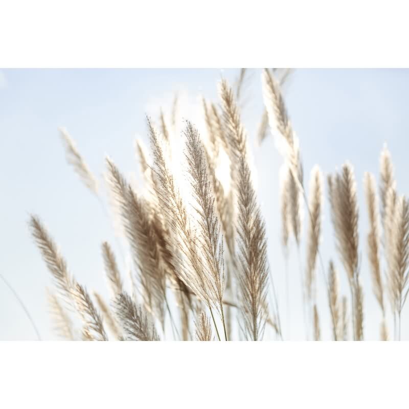 DD129604 WALL LOVE AS-Creation