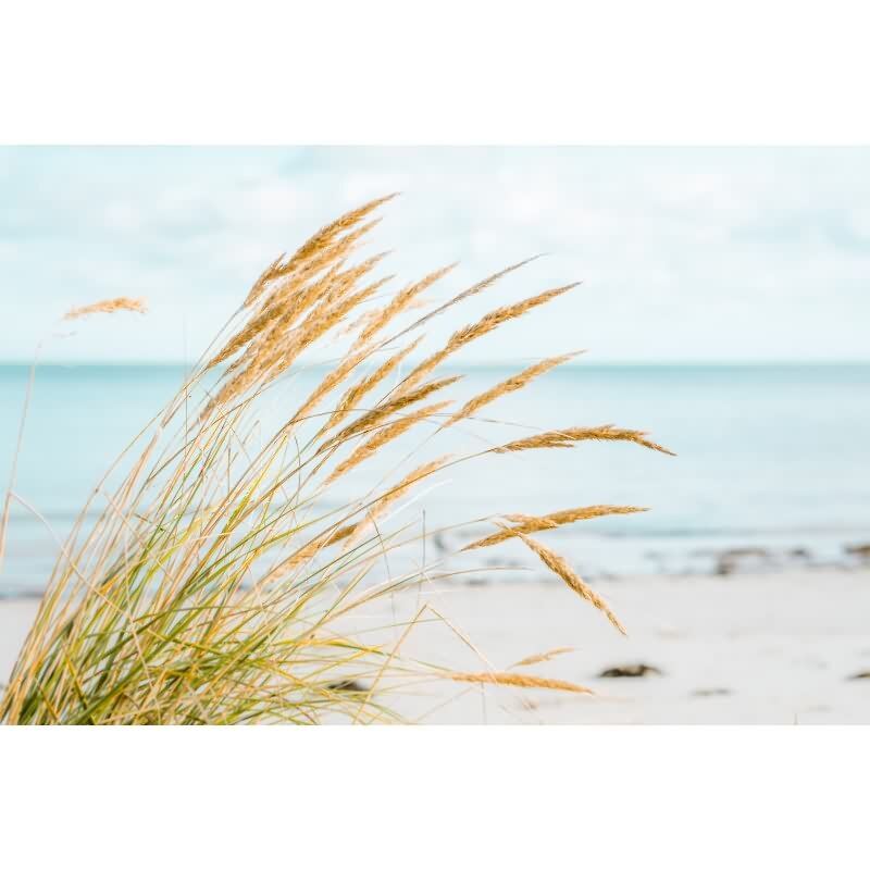 DD129607 WALL LOVE AS-Creation