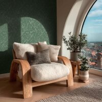 790045 Vibes &amp; Styles livingwalls