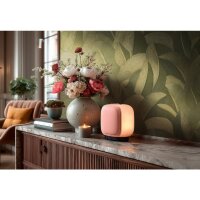 790394 Vibes &amp; Styles livingwalls