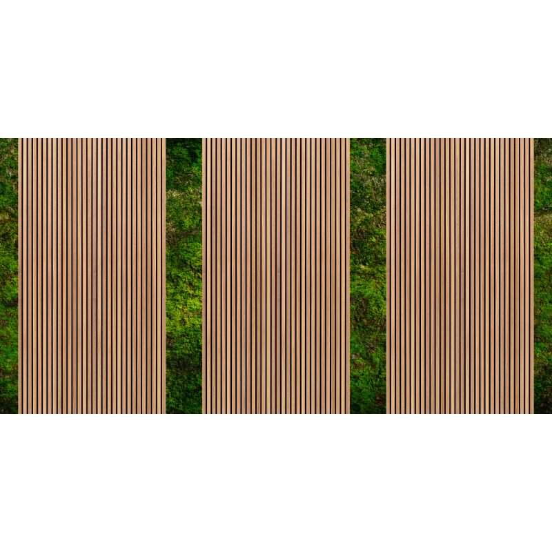 DD127657 Walls by patel 4 AS-Creation