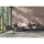 Digitaldruck-Tapete Graphics livingwalls (382851)