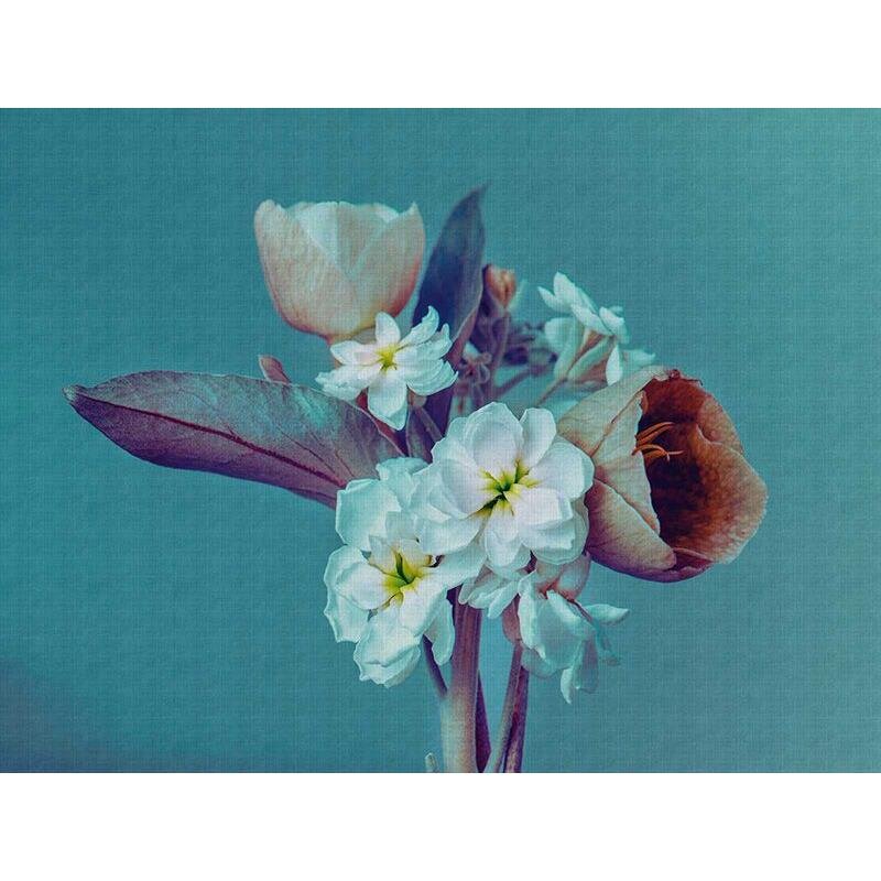 Digitaldruck-Tapete Flowers livingwalls (382691)