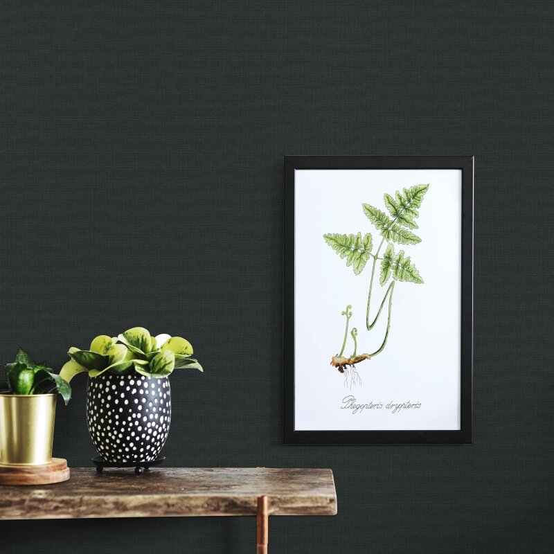 1039347 Martinique Erismann