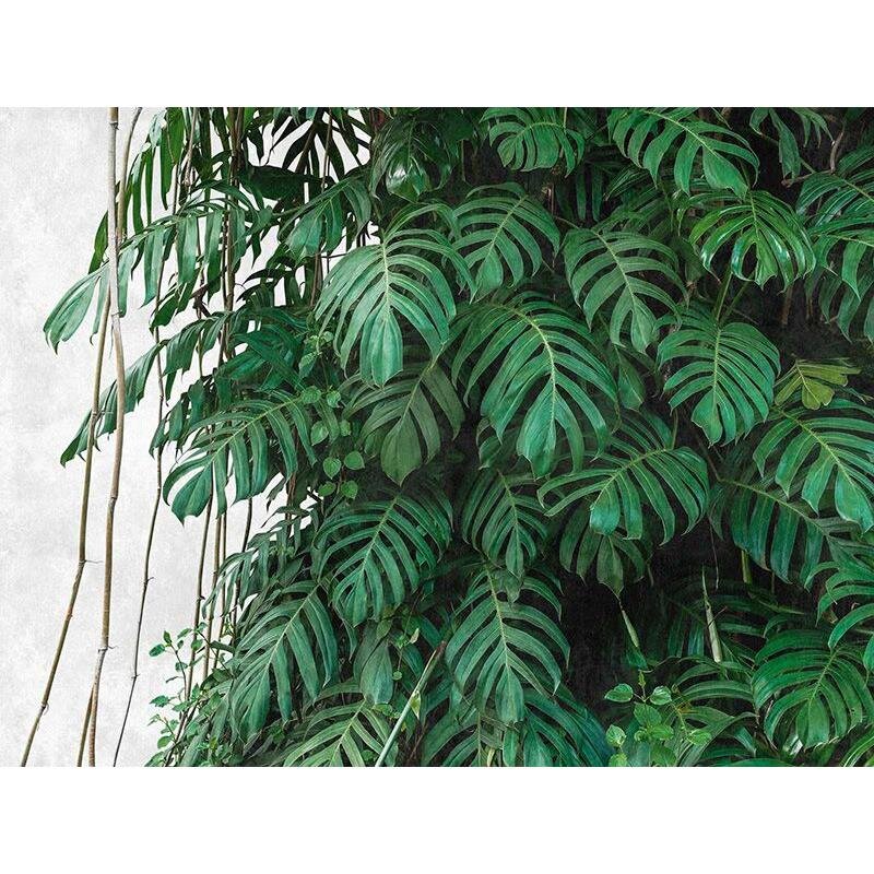 Digitaldruck-Tapete Botanic & Jungle livingwalls (382411)