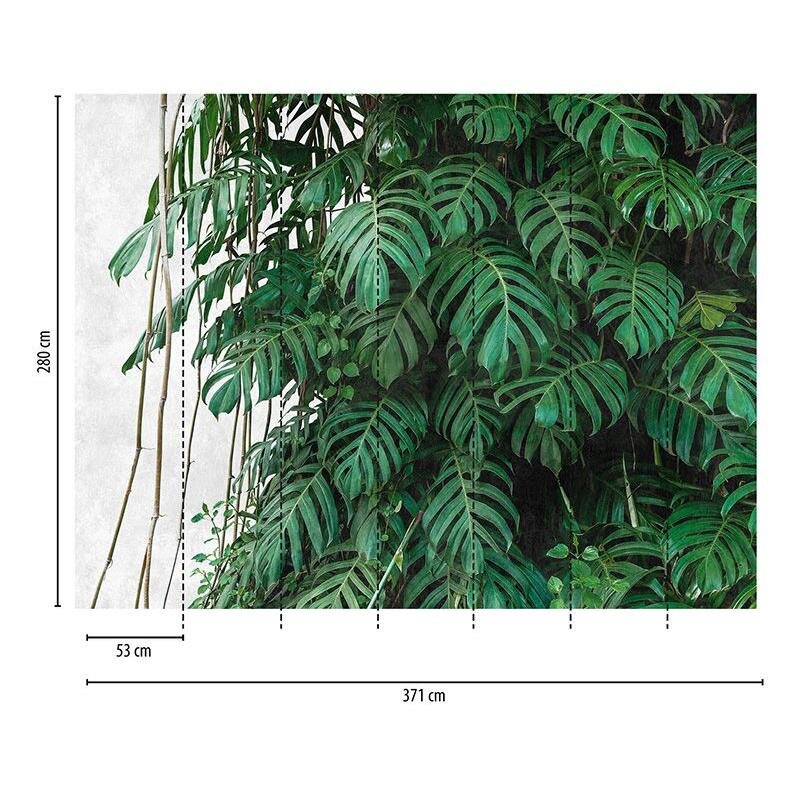 Digitaldruck-Tapete Botanic & Jungle livingwalls (382411)
