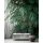 Digitaldruck-Tapete Botanic & Jungle livingwalls (382411)