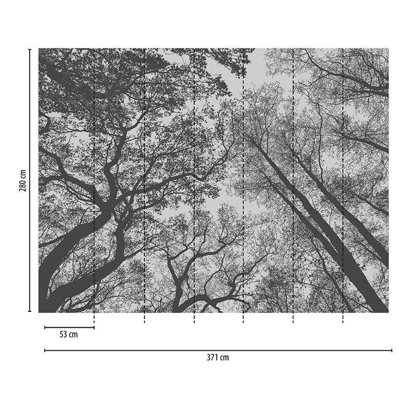 Digitaldruck-Tapete Botanic & Jungle livingwalls (382401)