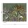 Digitaldruck-Tapete Botanic & Jungle livingwalls (382371)