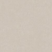 Tapete Grau, Silber AS-Creation Vliestapete (385948)