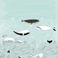 Digitaldruck-Tapete T&uuml;rkis Studio Onszelf (842500)