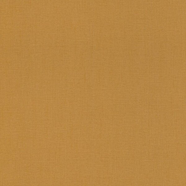 Tapete Orange, Terrakotta Rasch Vliestapete (484663)