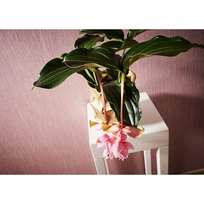 Tapete Rosa, Rose Architects Paper Vliestapete (375595)