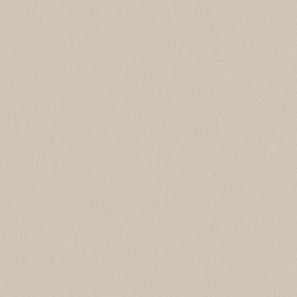 Tapete Braun AS-Creation Vliestapete (336552)