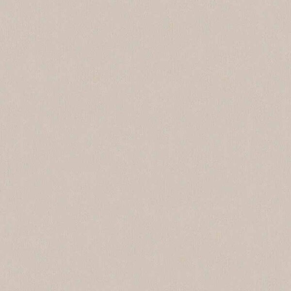 Tapete Braun AS-Creation Vliestapete (336552)