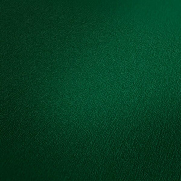 Tapete Grün AS-Creation Vliestapete (383648)