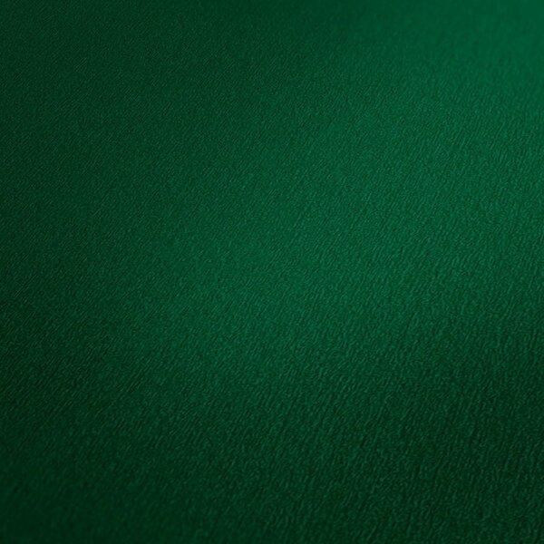 Tapete Grün AS-Creation Vliestapete (383648)