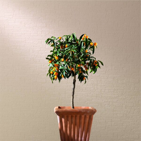 Tapete Weiß Überstreichbar Patent Decor Marburg (9343)