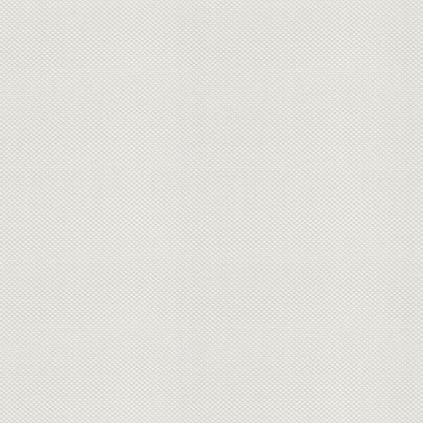 Tapete Weiß Überstreichbar AS-Creation (145512)