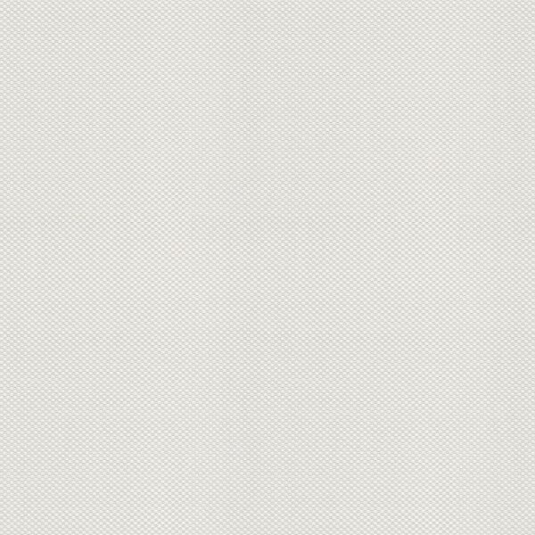 Tapete Weiß Überstreichbar AS-Creation (145512)