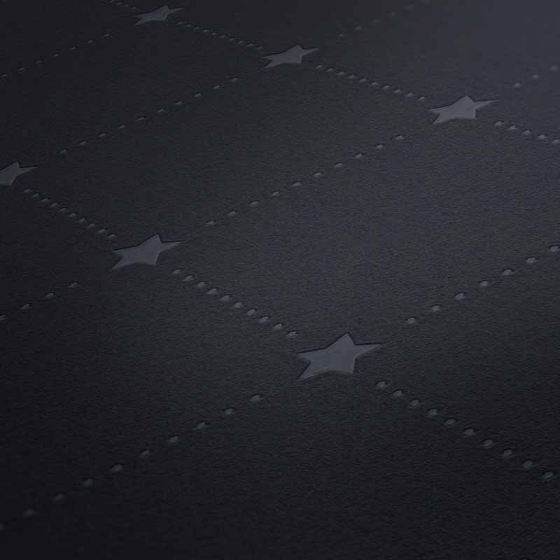 Tapete Schwarz, Anthrazit Michalsky Living Vliestapete (379852)