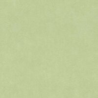 Tapete Gr&uuml;n Rasch Vliestapete (330052)