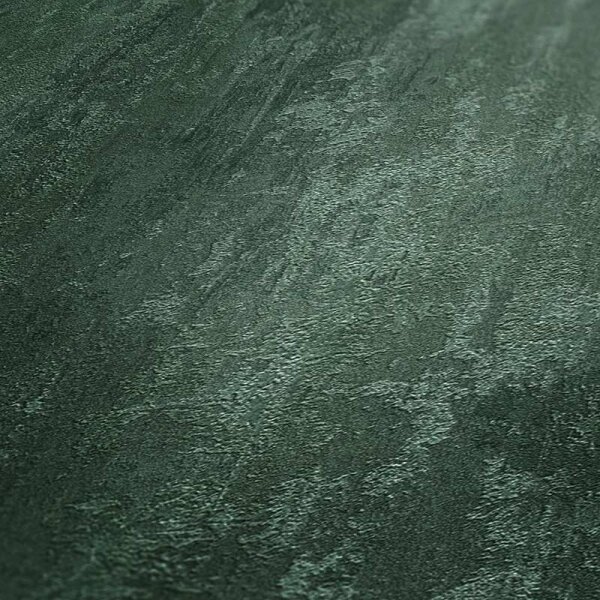 Tapete Grün AS-Creation Vliestapete (380444)