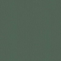 Tapete Gr&uuml;n AS-Creation Vliestapete (379740)
