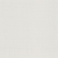 Tapete Wei&szlig; &Uuml;berstreichbar AS-Creation (164919)