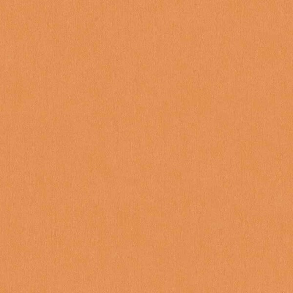 Tapete Orange, Terrakotta AS-Creation Vliestapete (383266)