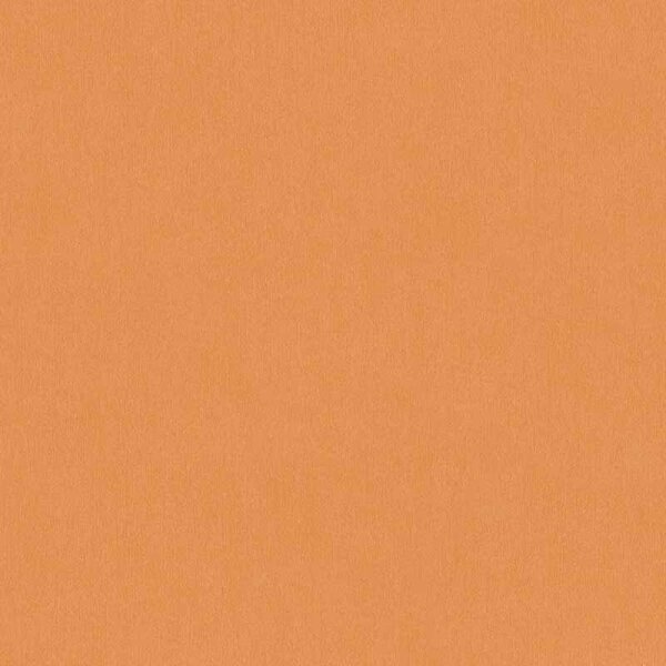 Tapete Orange, Terrakotta AS-Creation Vliestapete (383266)