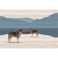 Digitaldruck-Tapete yukon 1 livingwalls (DD122892)