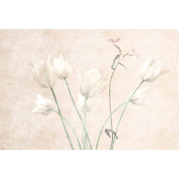 Digitaldruck-Tapete morning room 3 livingwalls (DD122396)