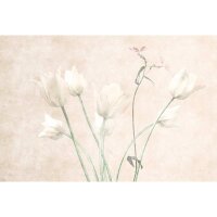 Digitaldruck-Tapete morning room 3 livingwalls (DD122396)