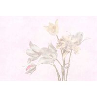 Digitaldruck-Tapete morning room 1 livingwalls (DD122388)