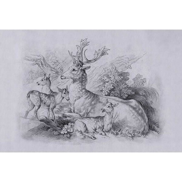 Digitaldruck-Tapete on the grass 2 livingwalls (DD122384)