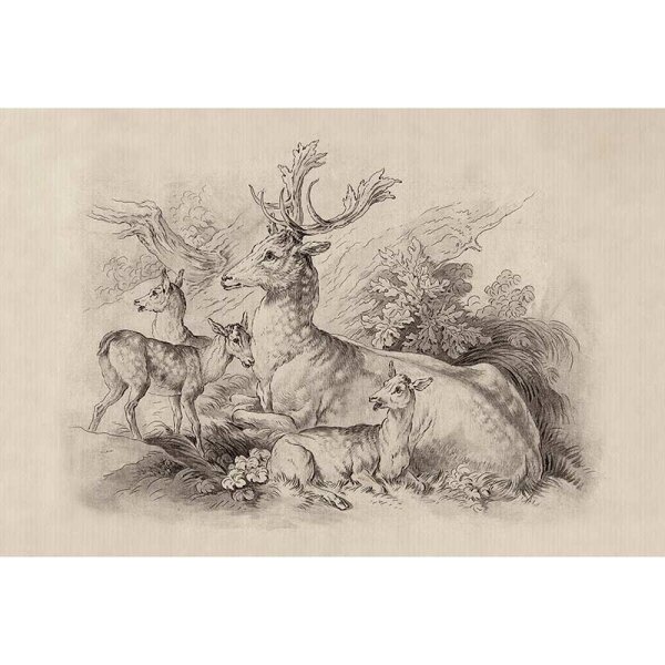 Digitaldruck-Tapete on the grass 1 livingwalls (DD122380)